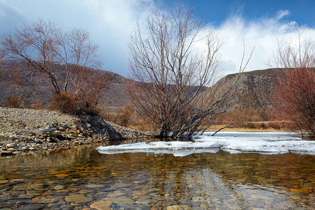 冬季贝加尔湖岸边树木和岩石的户外景观图片