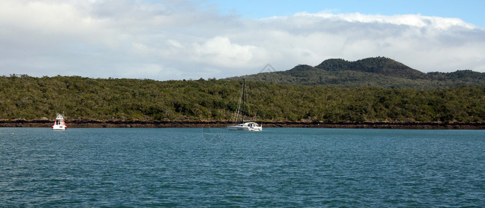 新西兰朗伊托岛图片