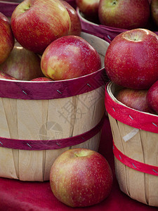 当地农贸市场的新鲜苹果农贸市场是一种传统的农图片