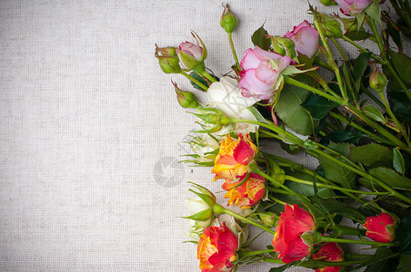 粗糙的亚麻织物上的五彩玫瑰花束特写图片