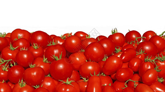 许多红色西红柿图片