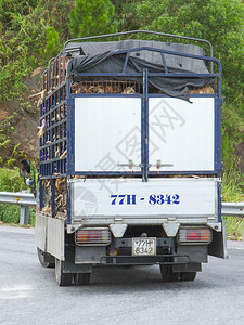 拖车上装满了运往越南屠宰场的活狗经常被盗的狗仍然在越南北部的菜单上图片