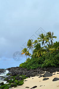 海浪冲击夏威夷的热带野生海滩图片