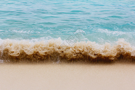 海滩波浪特写图片