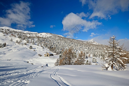 在大雪过后意大利阿尔卑斯山的冬图片