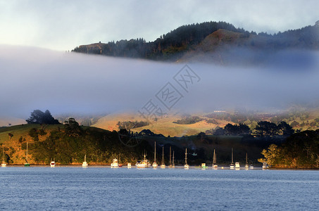 新西兰北部Whangaroa港口黄昏时停泊的小帆船和机图片