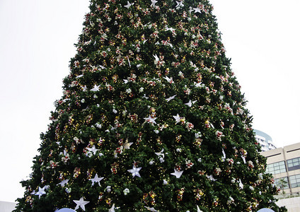 圣诞树和带天空的装饰品户外图片