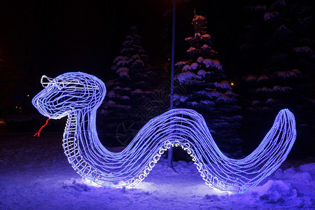 由蓝色霓虹灯制成的蛇新年装饰城市公园图片