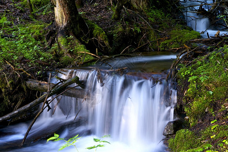 小型森林瀑布瀑布摄影集图片