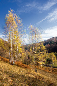 在山的美好的秋天风景图片