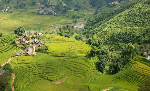 Rice种植园和山丘在Vietna图片