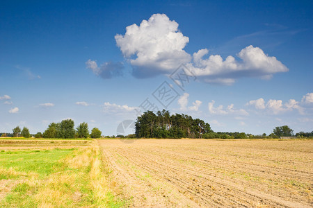 波兰乡村地貌图片