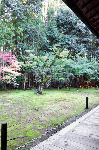 日本花园在日本京都大会寺二的Kotoin图片