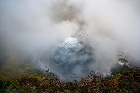 新西兰罗托鲁阿区瓦伊基特地区大面积蒸图片