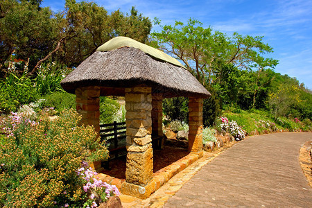 茅草屋顶的亭子拍摄于南非西开普省开普敦郊区的Kirstenbos图片