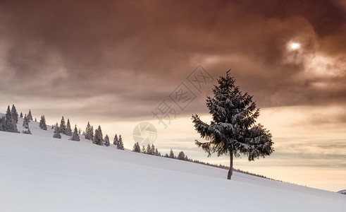 山中的冬景图片