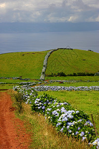 Smiguel岛沿海图片