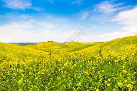 意大利瓦道尔恰花光场与美丽的托斯卡纳风景图片