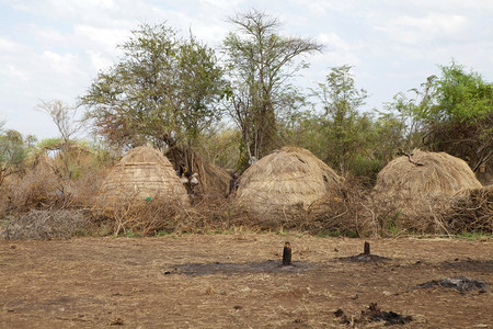 埃塞俄比亚马戈公园图片