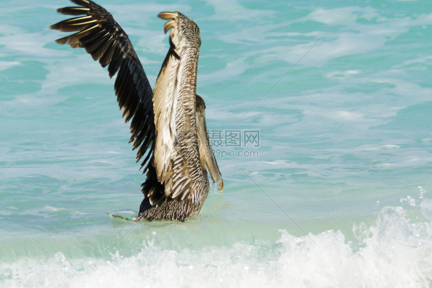 鹈鹕vs马刺直播免费观看