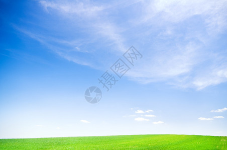 在绿色领域的蓝天自然组成图片