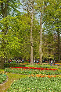 春天的花园和游客一起凯图片