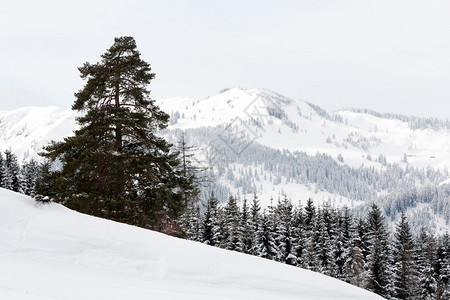 九寨沟冬景山中的冬景背景