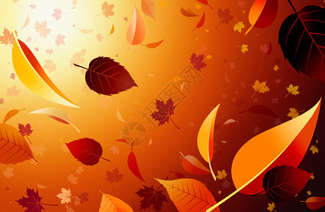 秋天的飞行叶组成光线从左上方传图片