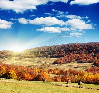 山上秋天的风景与五颜六色的森林秋天的树叶图片