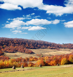 山上秋天的风景与五颜六色的秋天的树叶图片