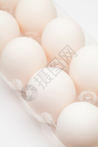 白鸡蛋背景图片