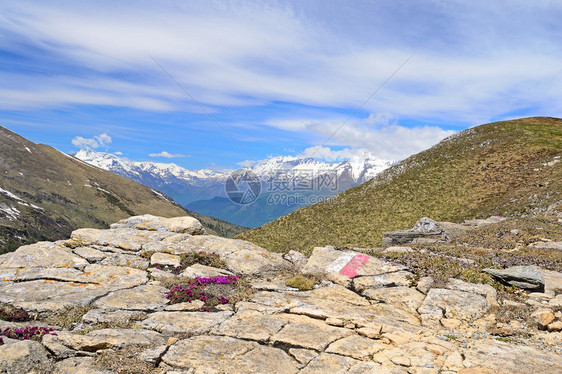 在浅地岩石有山路红白标杆和背景下积雪的山脉中图片