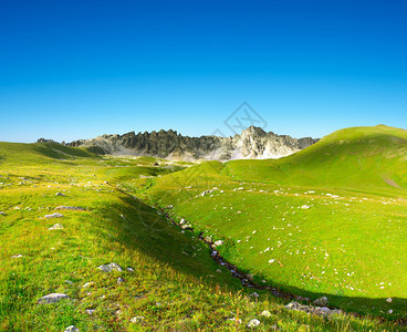 山谷中的青山夏日风景图片