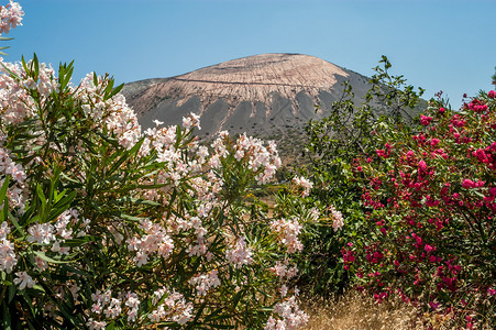 火山火山图片