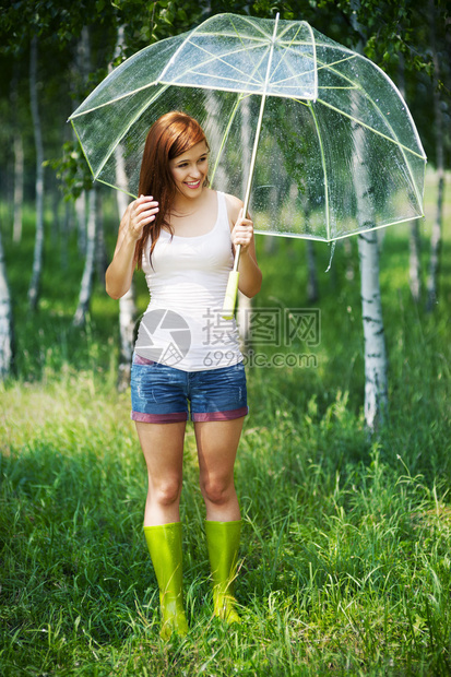 夏日森林里的雨天图片