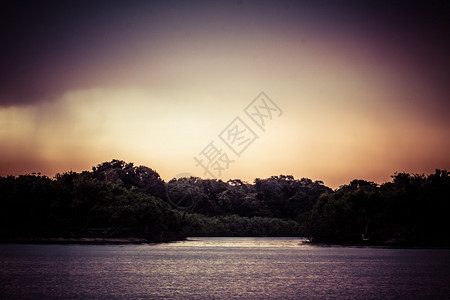 巴西亚马逊河的日落图片