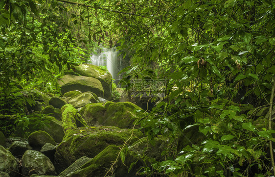 在哥斯达黎加森林的瀑布底部坠图片