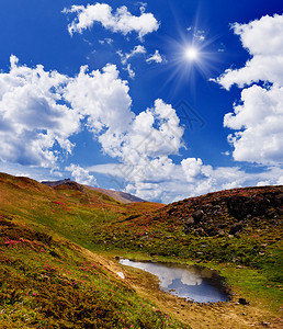 山间湖泊和杜鹃花的夏日风景图片