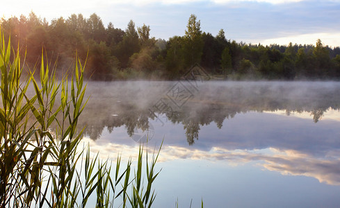 湖面上的雾黎明在湖面上景观与湖上阳光明媚的日子美丽的风景图片