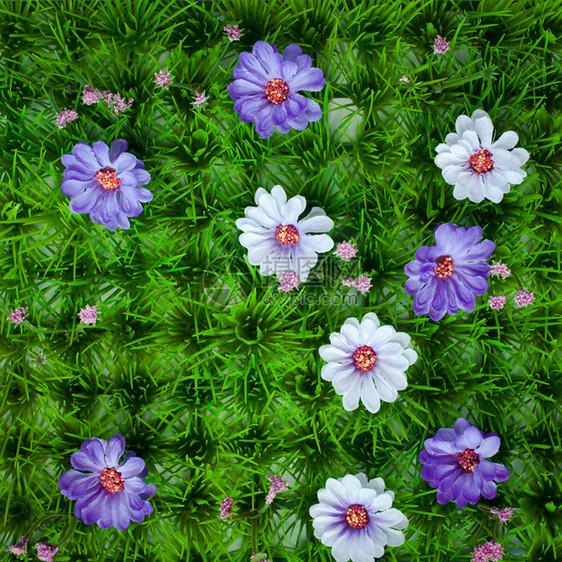 塑料花的鲜艳美丽的颜色图片