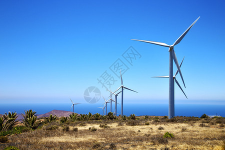 西班牙兰萨罗特岛的非洲风力图片