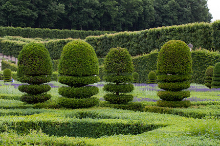 卢瓦尔河谷城堡的华丽装饰花园高清图片