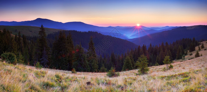 山中的日出森林和初升的太阳的山全景图片