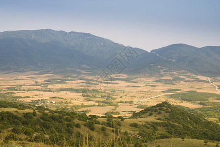 带黄色田野的风景图片