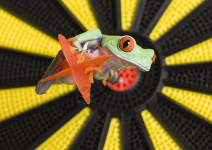 红眼蛙和飞镖图片