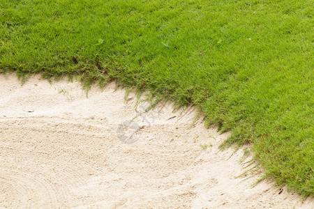 在绿草的高尔夫球沙坑图片