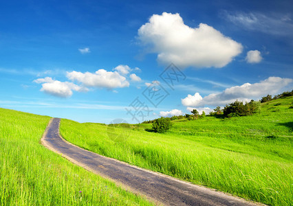 田野农村道路美图片