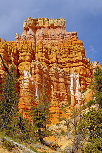 犹他州BryceCanyon公园的Fair图片