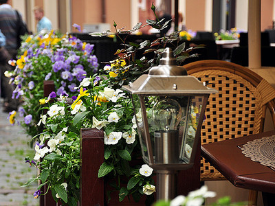 城市咖啡馆里的鲜花和旧图片