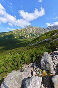 波兰塔特里山脉的美丽风景图片